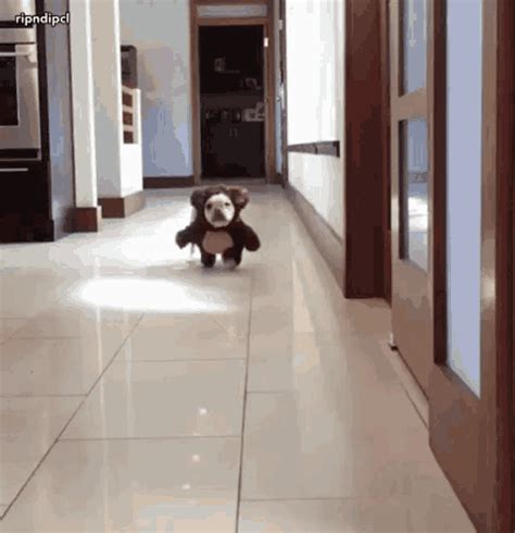 gifs doggystyle|Doggy Style Gifs .